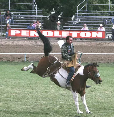 A man rides a bronco