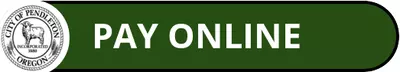 Navigate to payment website