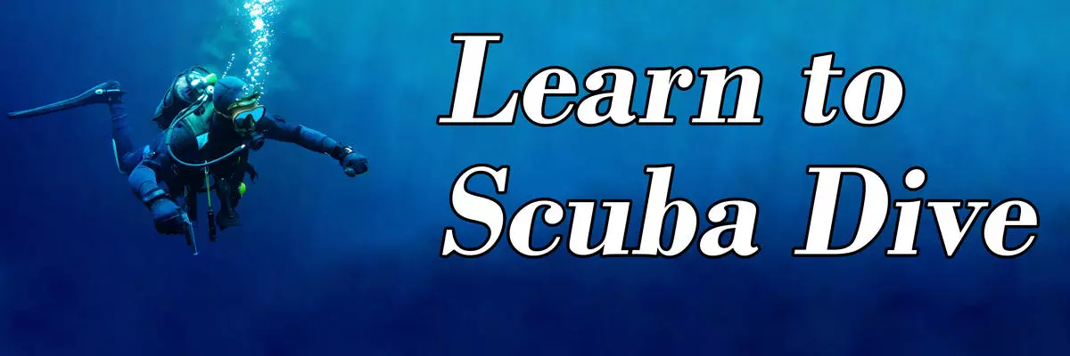 Learn to scuba dive