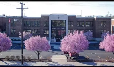 city_hall_tree_2.jpg