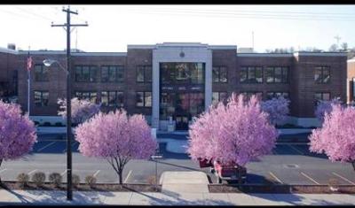 city_hall_tree_2.jpg