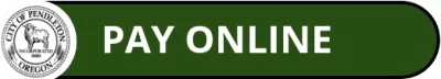 Navigate to payment website