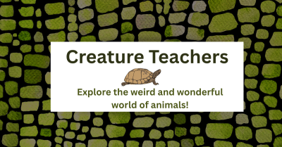 Creature Teachers Event Advertisement