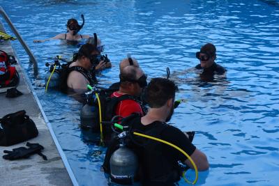 Divers in pool 