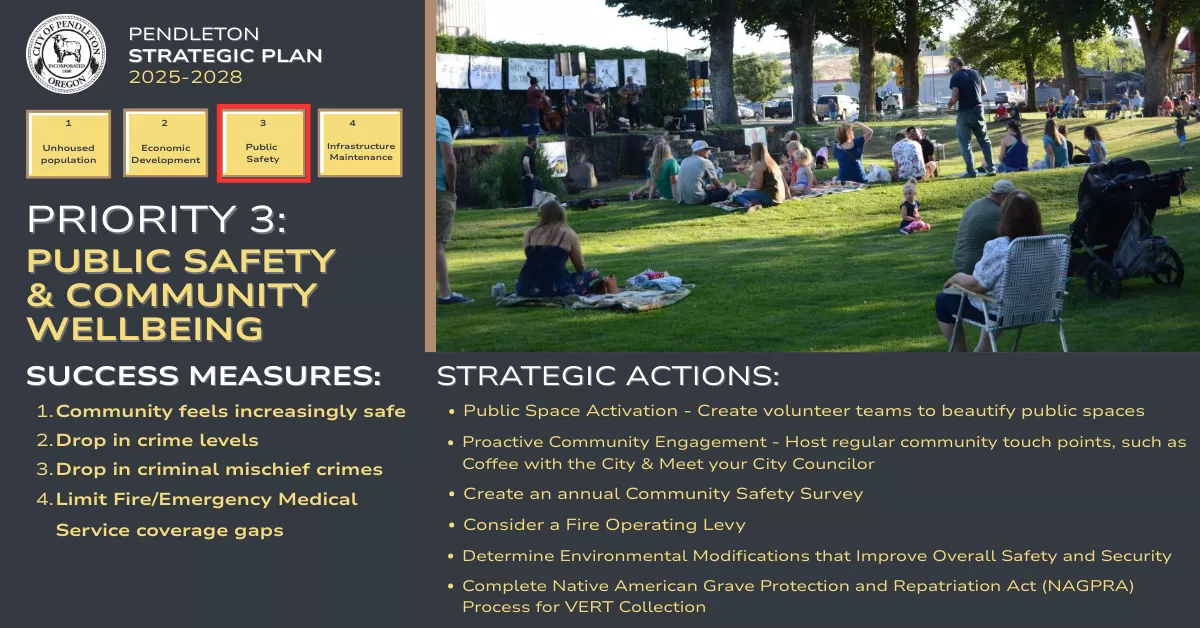 Graphic listing out the text of Priority 3