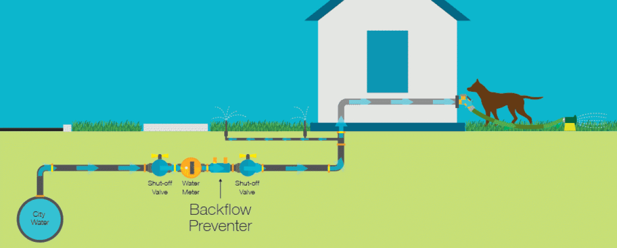 Backflow preventer diagram